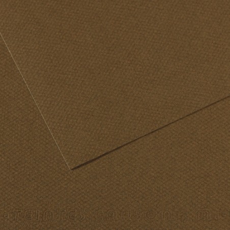 CAN P/25F MITEINTE 50X65 MARON 200331484