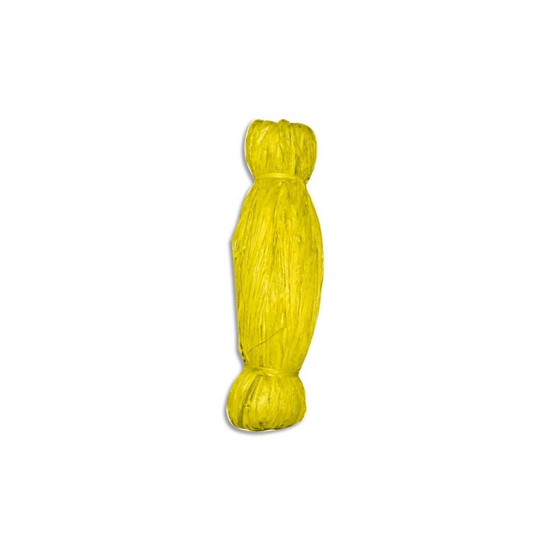 PWI BOB 50G RAPHIA VEGETAL J 220203 PWI BOB 50G RAPHIA VEGETAL J 220203
