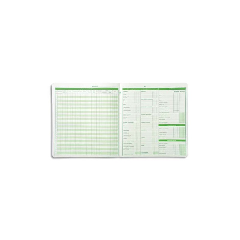 EXA PIQ. BUDGET FAMILIAL 25X27 56P 78E