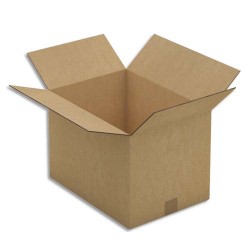 EMB P/10 CAIS DBLCAN 43X30X31 BR CAD13E