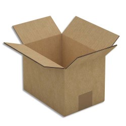 EMB P/15 CAIS DBLCAN 20X14X14 BR CAD50