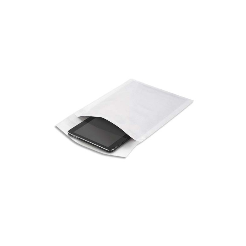 EMB B/100 POCHET BULL 22X26CM BLC PMBL2A EMB B/100 POCHET BULL 22X26CM BLC PMBL2A