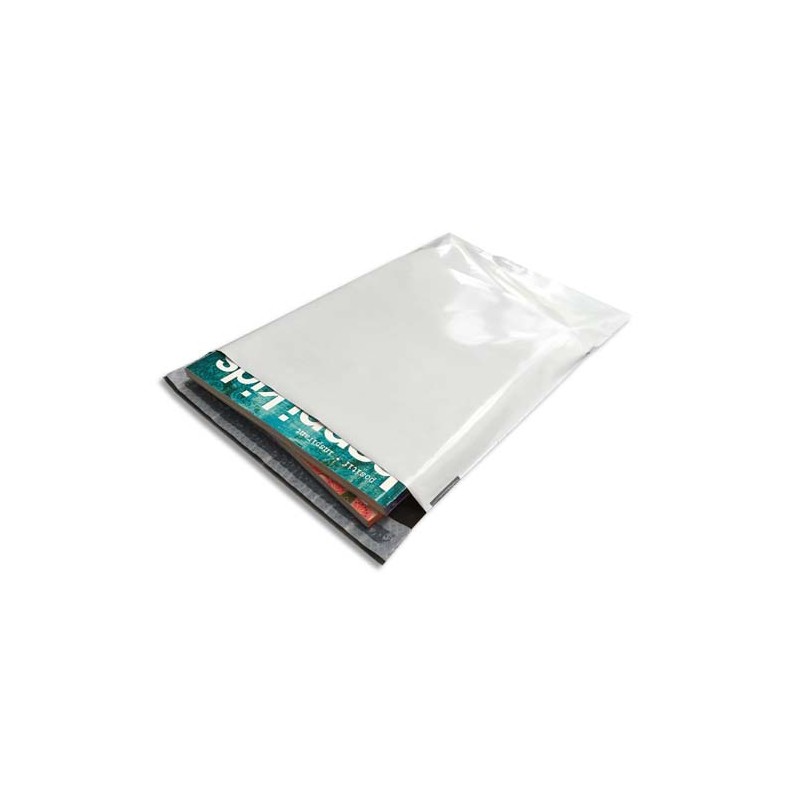 BNG B/100 POCHET PLAST 24X32.5 BLC 68290 BNG B/100 POCHET PLAST 24X32.5 BLC 68290