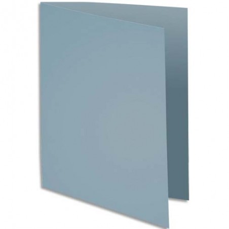 EXA P/100 CHEM ROCK'S 210G GRIS 210009E