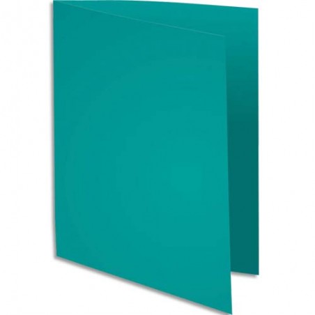 EXA P/100 CHEM SUPER 160G VERT V 340021E