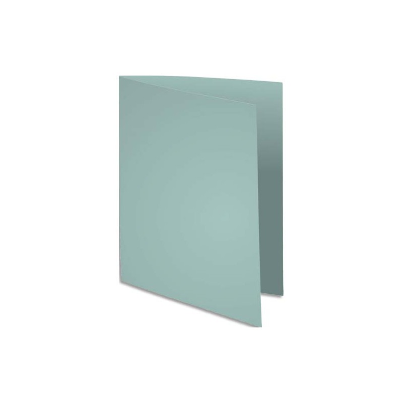 EXA P/100 CHEM SUPER 210G GRIS 330009E EXA P/100 CHEM SUPER 210G GRIS 330009E
