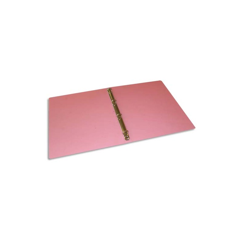 1ER CLAS PP 4ANN D40 ROUGE TRANSL 276520 1ER CLAS PP 4ANN D40 ROUGE TRANSL 276520