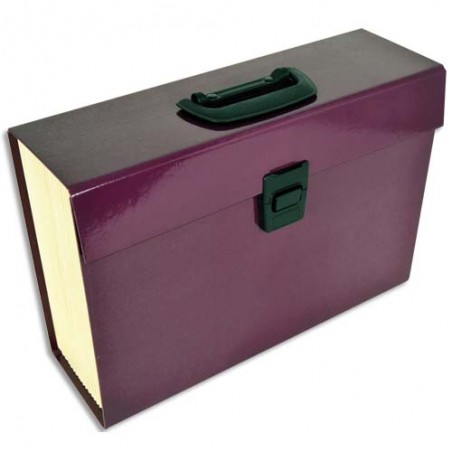 PHY TRIEUR PREMIUM 20 CPT AUB 708017