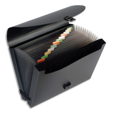 VIQ TRIEUR FANCASE 12T NOIR 11760503