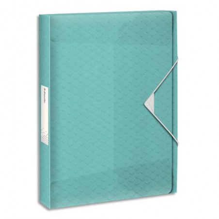 ESD BTE CLASS COLOUR ICE D25 BLEU 626259