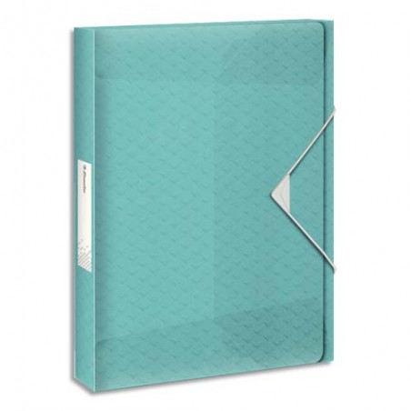 ESD BTE CLASS COLOUR ICE D40 BLEU 626264