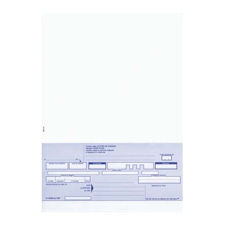 ELV P/100 LET CHANG 21X29.7 100F 1TR 518