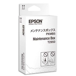 EPS RECUPERATEUR ENCRE C13T295000