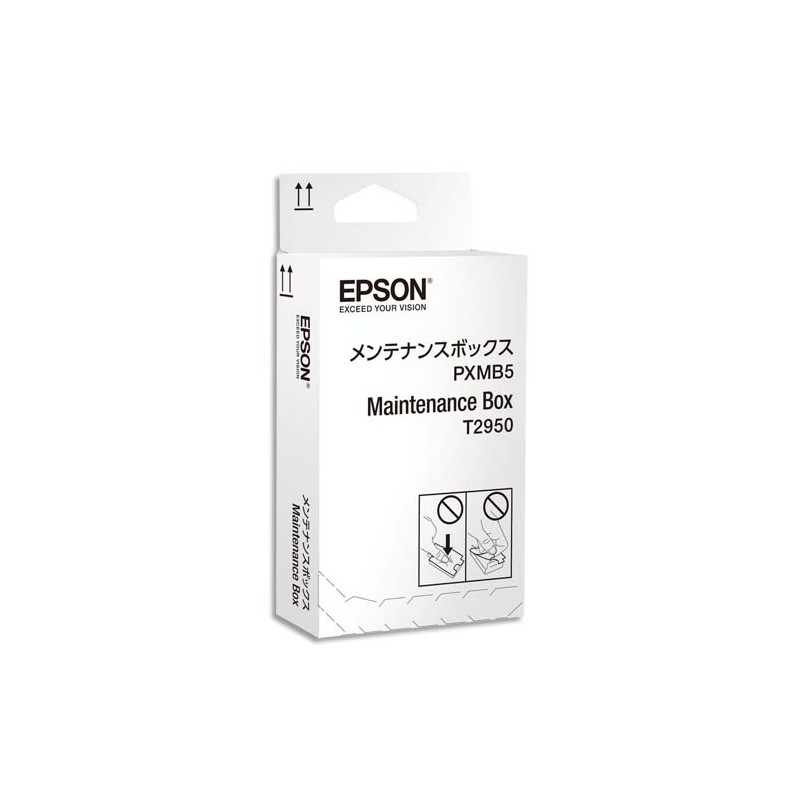 EPS RECUPERATEUR ENCRE C13T295000