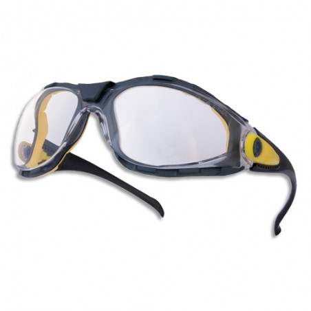 DET LUNETTE SECURIT PACAYA INC PACAYBLIN