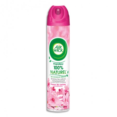 AIW DESOD 4EN1 240ML FLCERIS PV30262001
