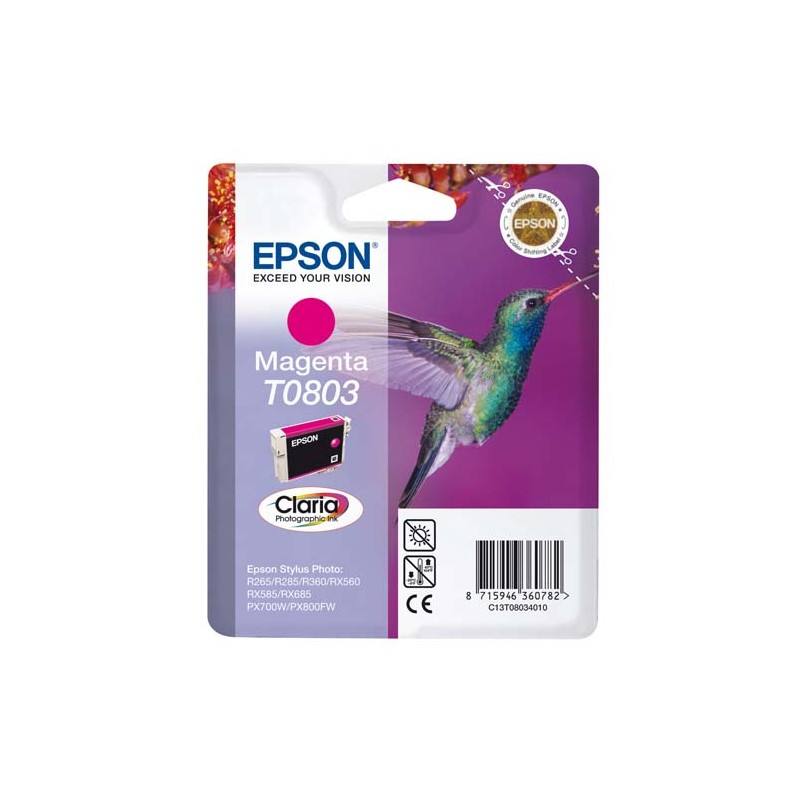 EPS CART JET ENCRE MGE C13T08034011 EPS CART JET ENCRE MGE C13T08034011