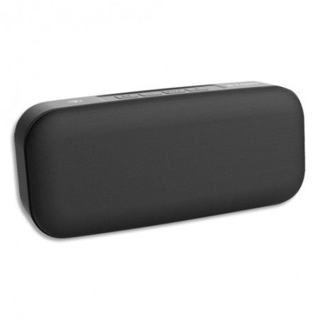 RYG ENCEINTE SANS FIL LINKY NR R310381