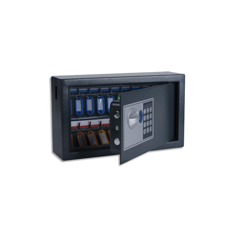 PAV ARMOIRE A CLES ELEC 20C GF 8002696 PAV ARMOIRE A CLES ELEC 20C GF 8002696