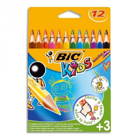 BIC E/12 CRAY EVOLUTION TRIANG 82973511