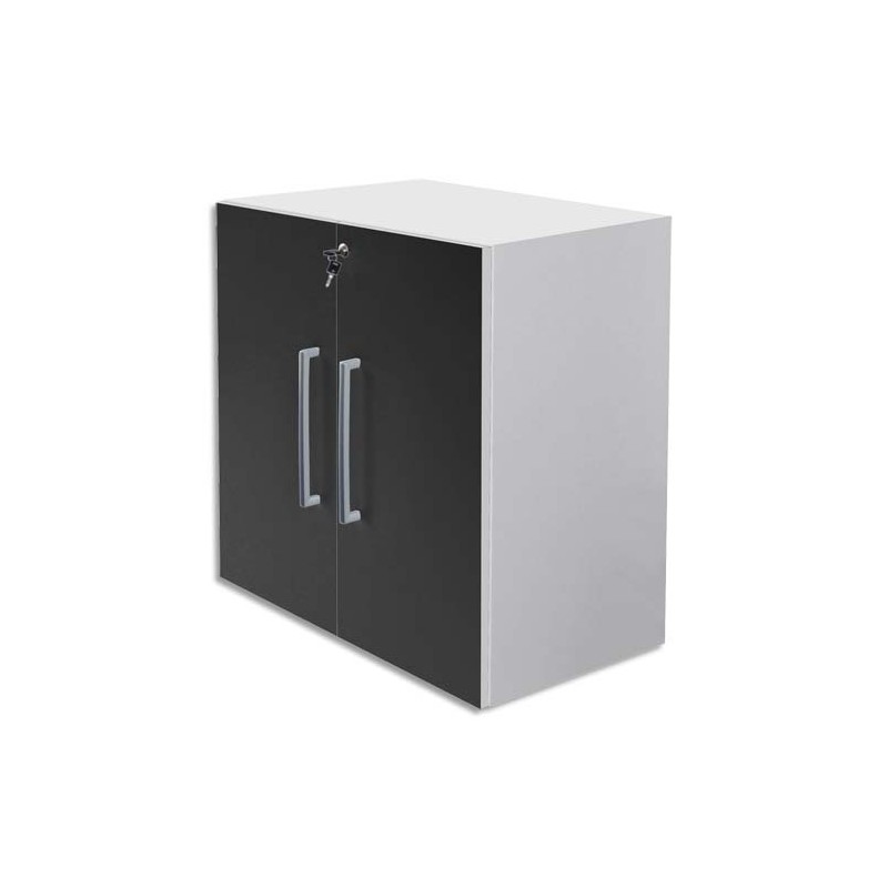 MTI L/2 PORTES BASS MT1ELEG N MTMOD2P-NR MTI L/2 PORTES BASS MT1ELEG N MTMOD2P-NR