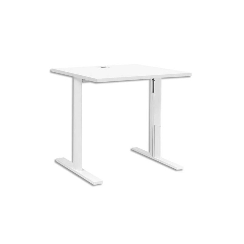 GAU BURO PIED I REGL YES L80 BLC U23208 GAU BURO PIED I REGL YES L80 BLC U23208