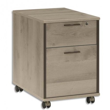 GAU CAISSON MOBILE 2T MAMBO CHE S12.232