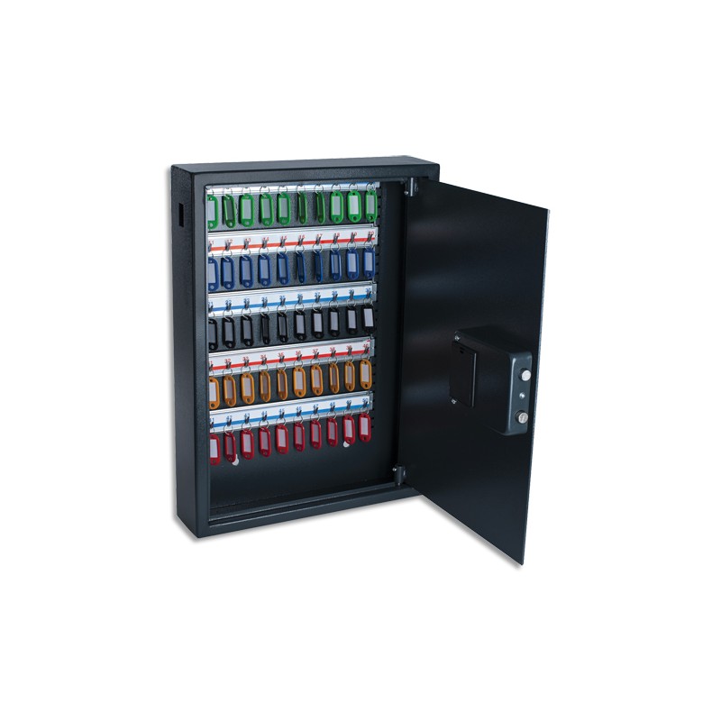 PAV ARMOIRE A CLES ELEC 50C GF 8003391 PAV ARMOIRE A CLES ELEC 50C GF 8003391