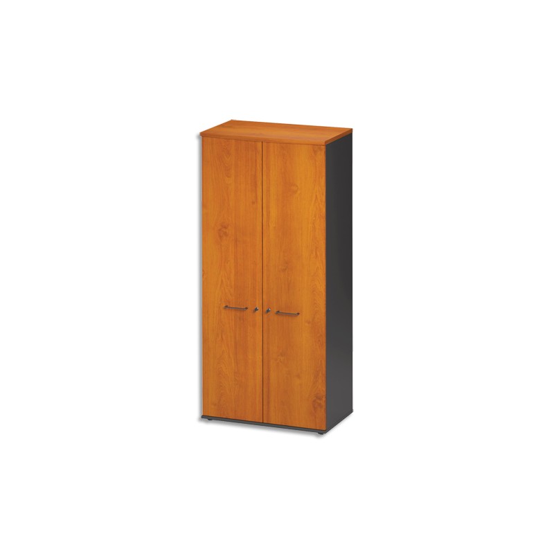 GAU ARMOIRE 2 PORTES JAZZ AUL U26.530