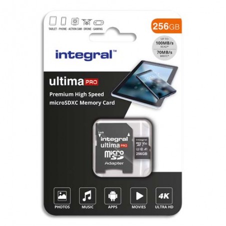 ITG CAR MIC+AD 256G INMSDX256G-100/90V30