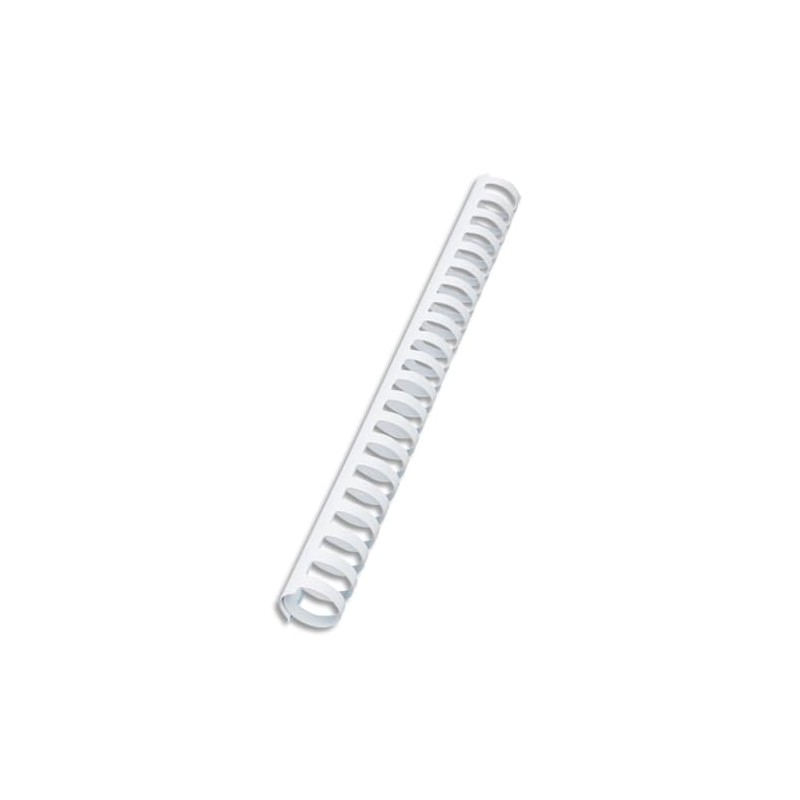 GBC B/100 PEIG COMBI A4 19MM BLC 4028611