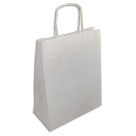 EMB P/250 SAC 24X31X12 BL B2431SIMPBLANC