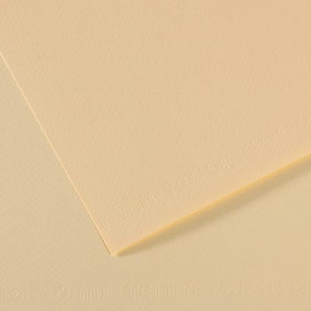 CAN FL MITEINT 50X65 160G IV C31032S092