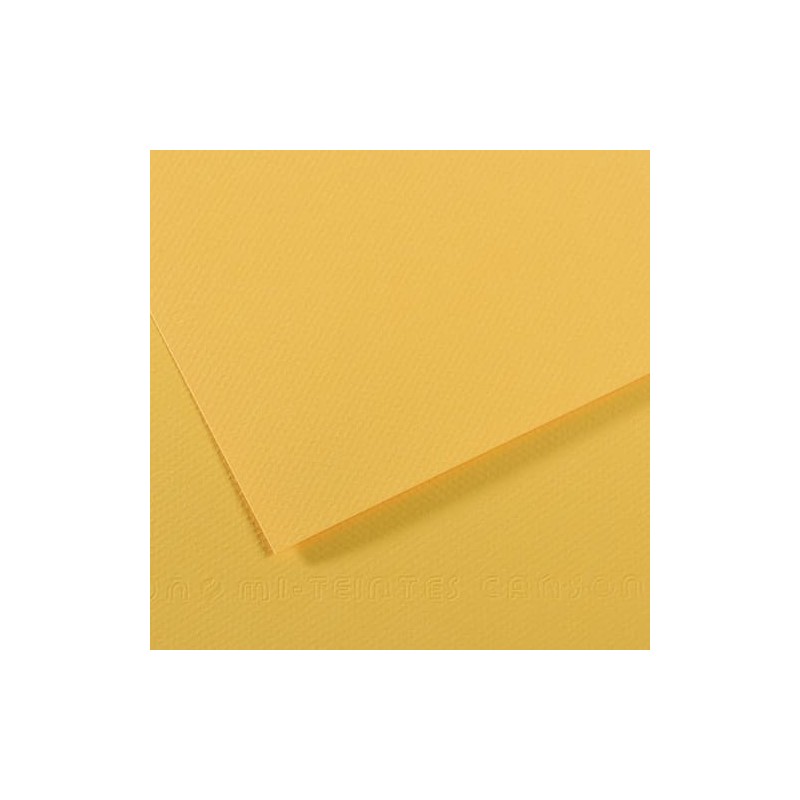 CAN FL MITEIN 50X65 160G J OR C31032S103 CAN FL MITEIN 50X65 160G J OR C31032S103