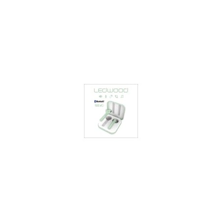 LEDW ECOUTEUR INTRA VT LD-M1011-TWS-GREE