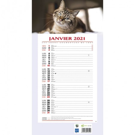 Calendrier papier recyclé Micro Natura BOUCHUT GRANDREMY