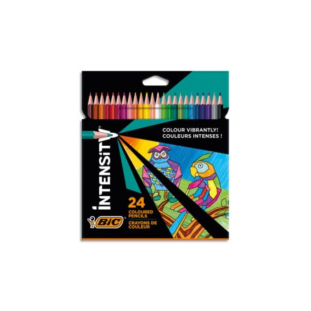 BIC B/24 CRAY COUL INTENSITY 9641481