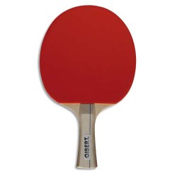 FSL RAQUETTE DE PING PONG 140104