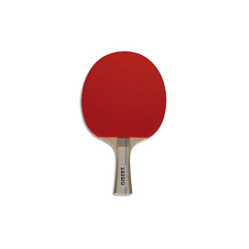 FSL RAQUETTE DE PING PONG 140104