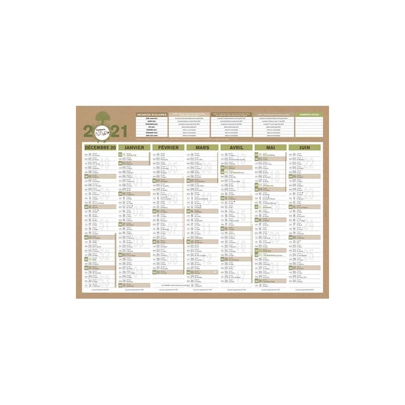 CBG CAL NATURA MEDIUM PAPNATURAMED-23 CBG CAL NATURA MEDIUM PAPNATURAMED-23