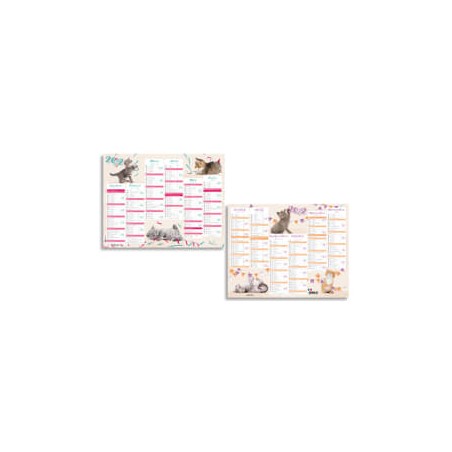 OBT CALENDRIER CHATON 43X33.5 43026