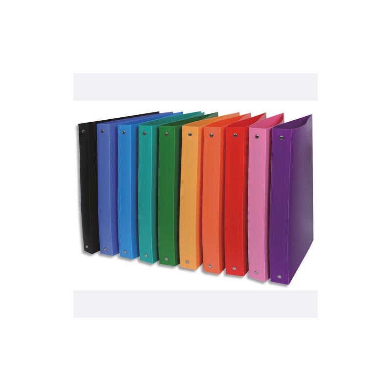 1ER CLASSEUR POLYPRO D4 ASS ADV30944 1ER CLASSEUR POLYPRO D4 ASS ADV30944