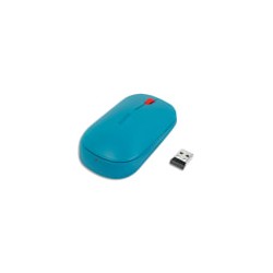 LEI SOURIS COSY BLEU 65310061
