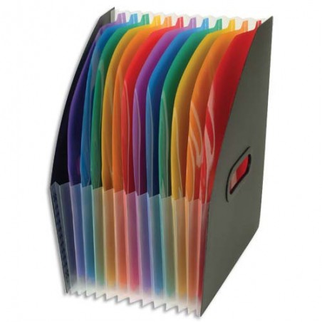 VIQ TRIR PTE REV RAINBOW 12CPT 11118705