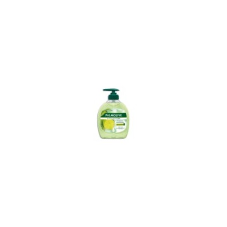 PMV SAVN HYGIENE+ KITCHEN 300ML 61013176