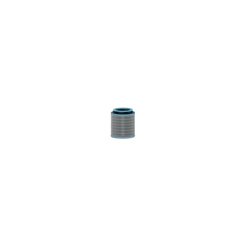 LEI FILTR TAMBOUR ALLERGI HEPA L 2415119