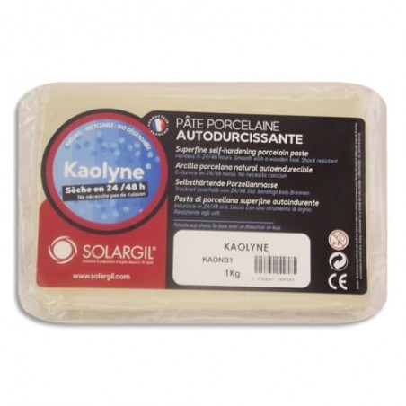 SOA P/1KG PATE PORCELAI KAOLYNE KAONB1