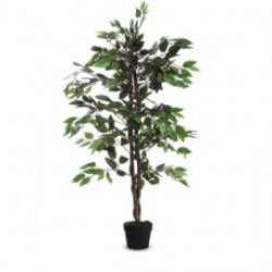 PPF PLANTE ARTIFI FICUS H120CM PAFIC120