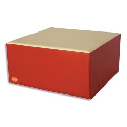 SMO POUF CARE MOUSS 60X60X30CM R/BG 048E