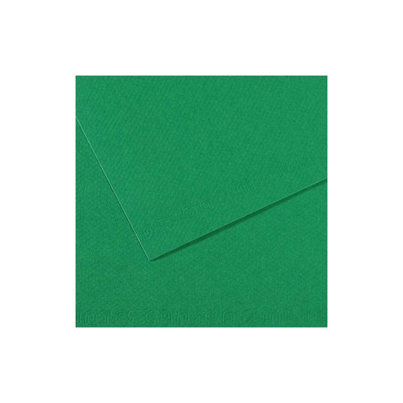 FBI FEUILLE DESSIN 160G VT PRE FDE15338